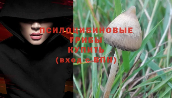 героин Алексин
